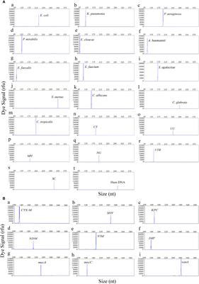 The Direct Semi-Quantitative Detection of 18 Pathogens and Simultaneous Screening for Nine Resistance Genes in Clinical Urine Samples by a High-Throughput Multiplex Genetic Detection System